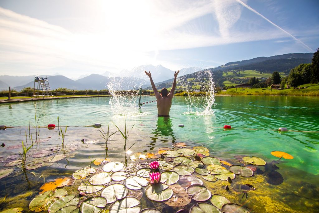 Combloux biotope lake