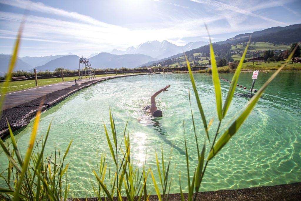 Vista de la cuenca del cuerpo de agua del biotopo