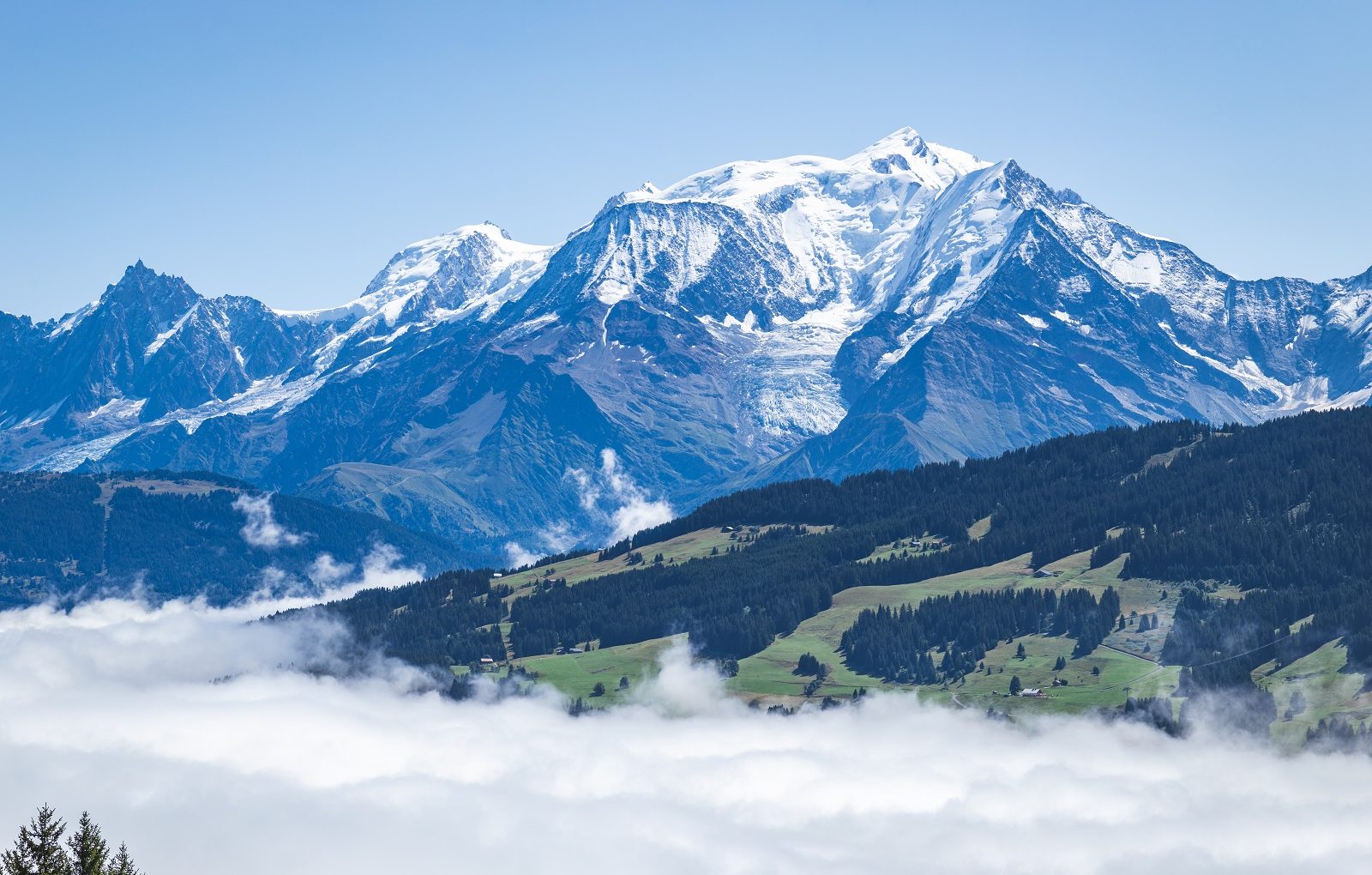 Mont-Blanc in summer with sea of ​​clouds from Combloux