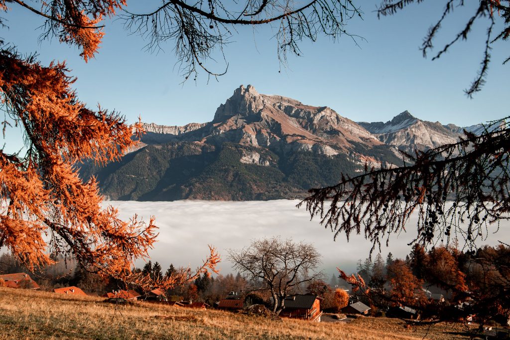 The Fiz in autumn colors from Combloux