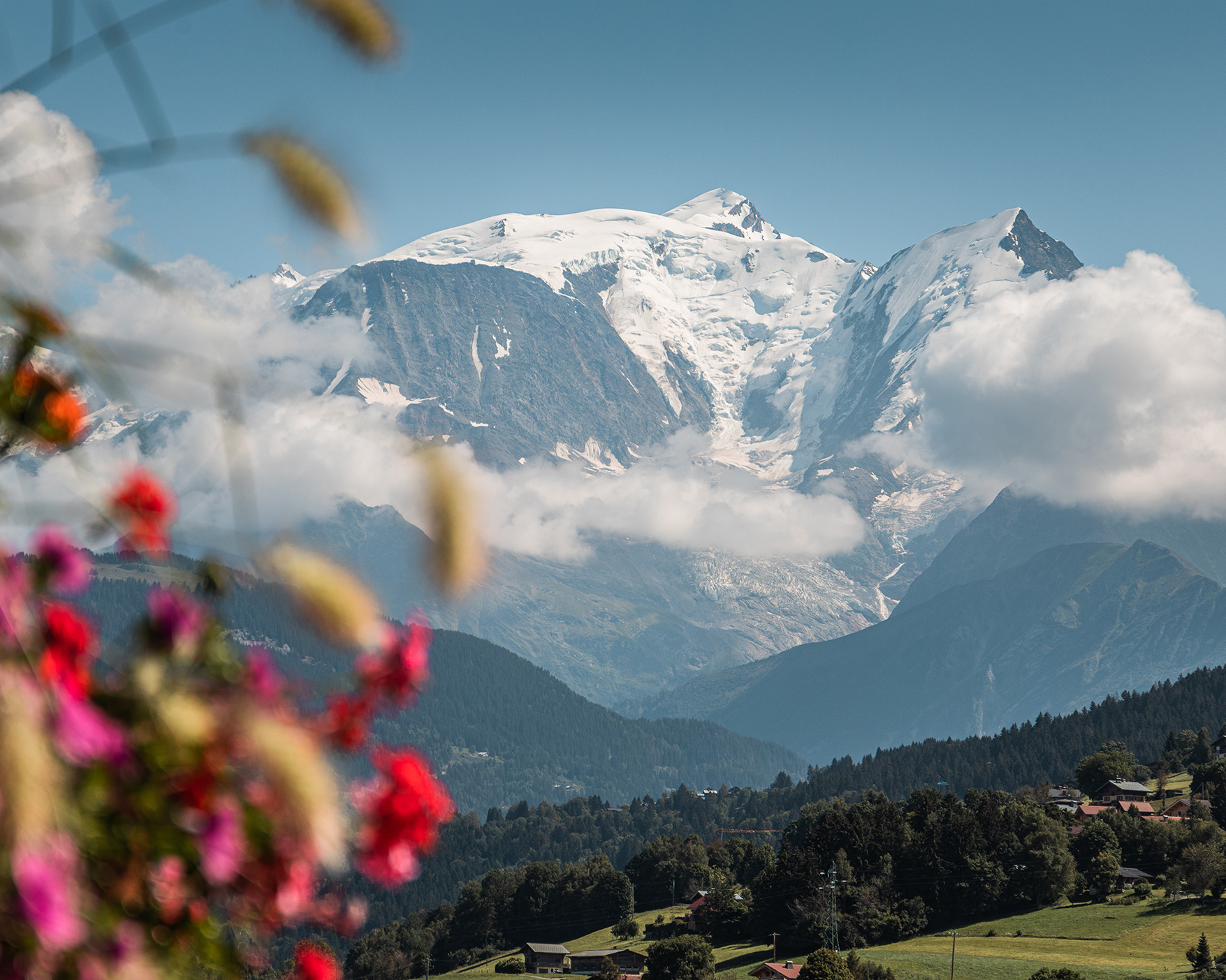 Mont-Blanc y flores de Combloux