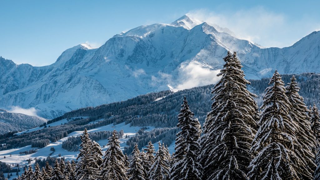 Mont-Blanc et sapins enneigés