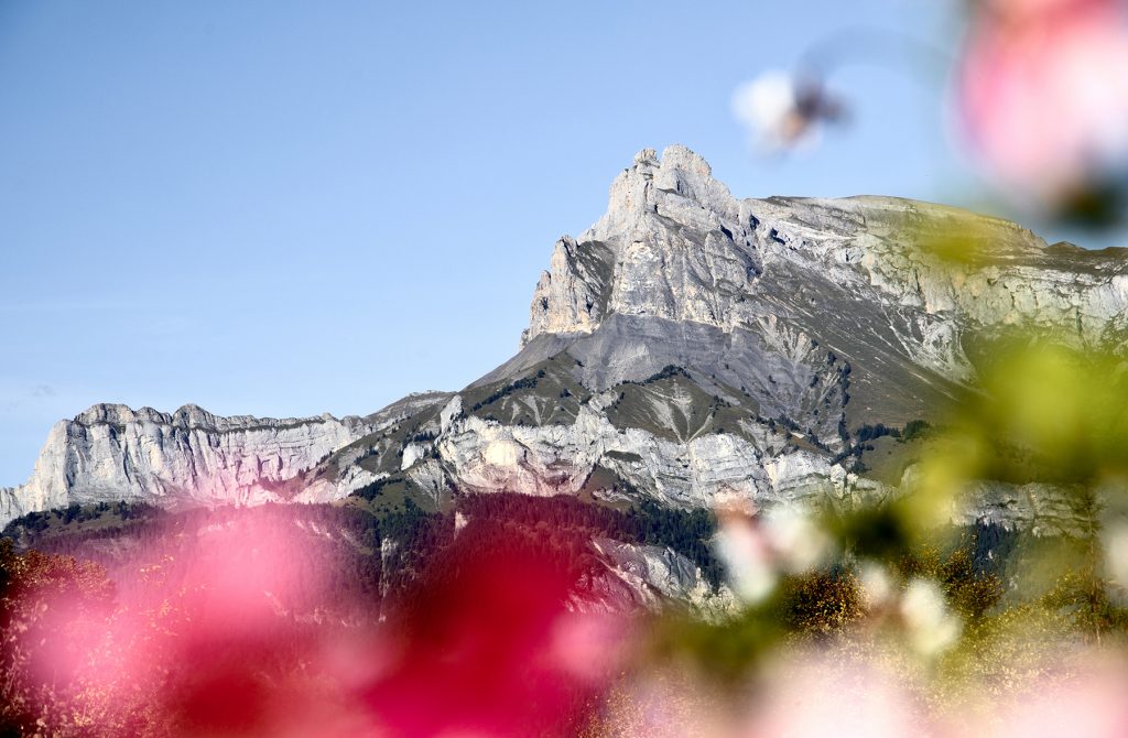 Fiz et fleurs colorées depuis Combloux