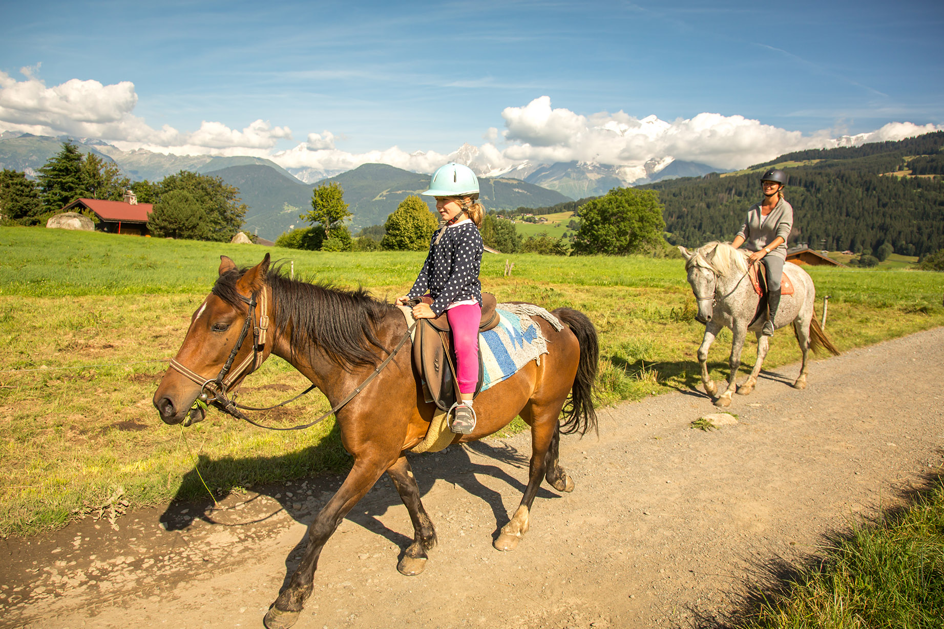 Equitation calèche Combloux - Combloux Tourisme