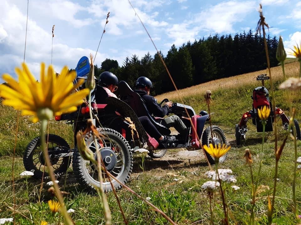 Swincars fleurs