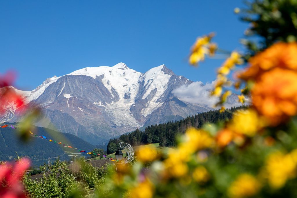 mont-blanc blue sky yellow and pink flowers