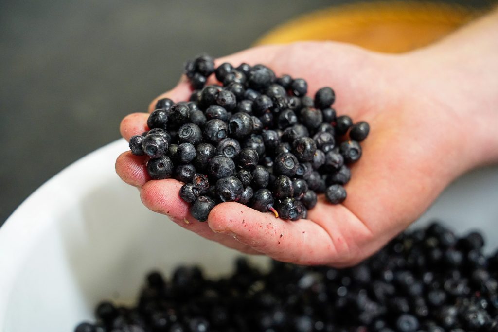 Blueberries from Combloux