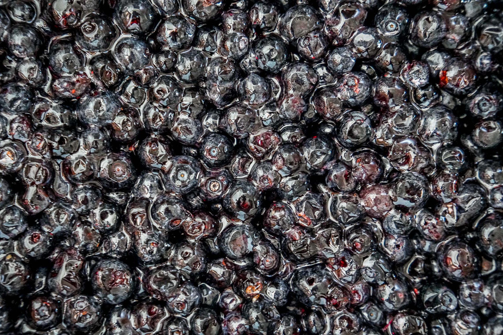 Blueberries from Combloux