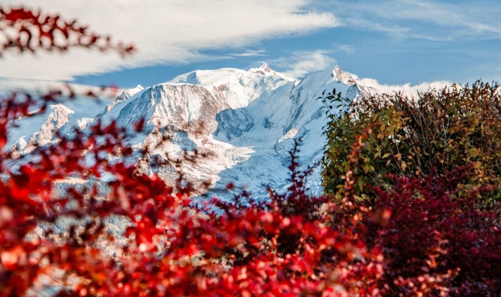 snowy mont blanc set with autumn foliage trees