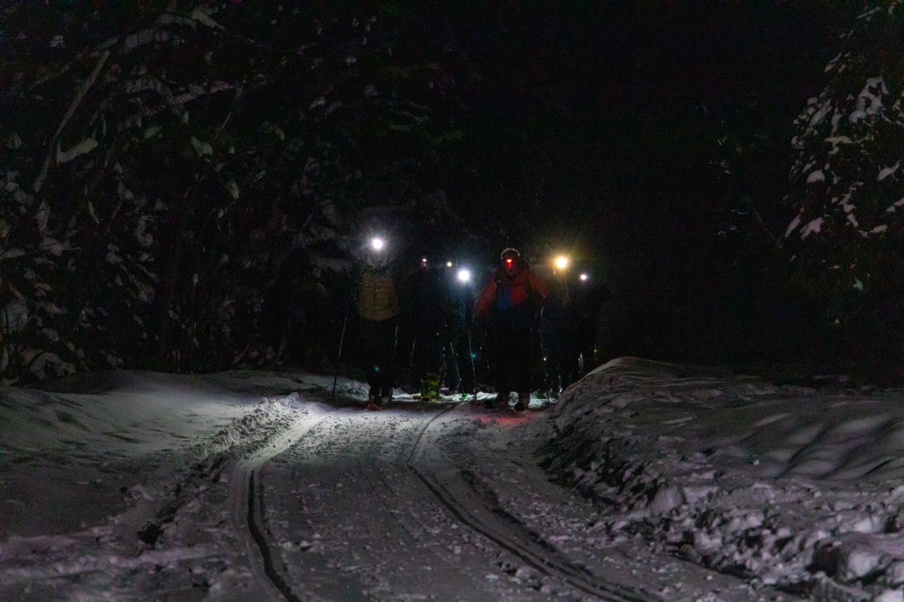 cuatro esquiadores senderismo pista ascendente luz delantera nocturna
