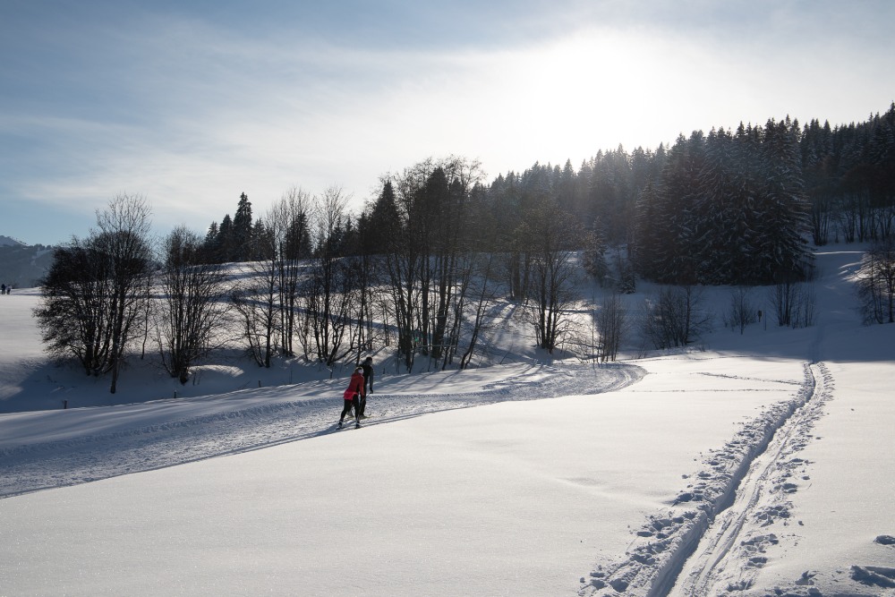 2 esquiadores en la zona nórdica de Combloux