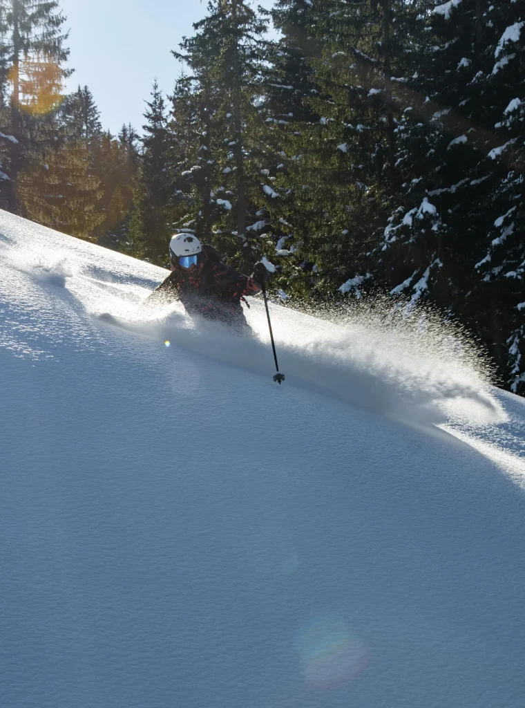 skieur dans la poudreuse sapin