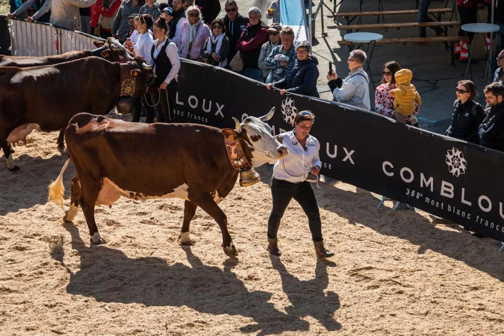 photo concours bovin combloux comice agricole pays du mont blanc - eleveuse et abondance à cloche spectateurs