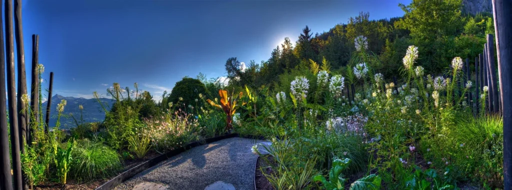 foto jardin camino paseo lleno naturaleza cielo azul