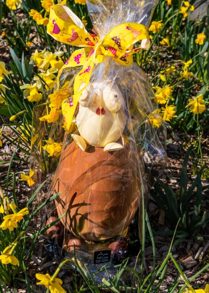 easter egg wraps background daffodils