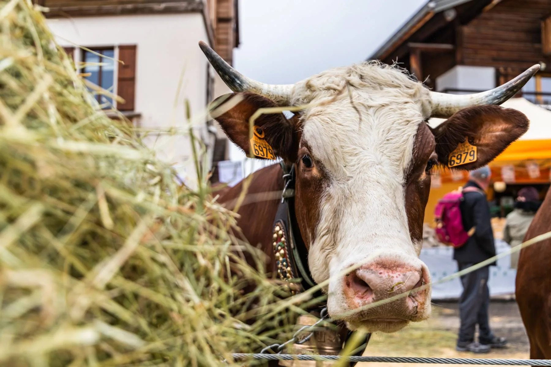 Combloux Salón Agrícola edición 2023