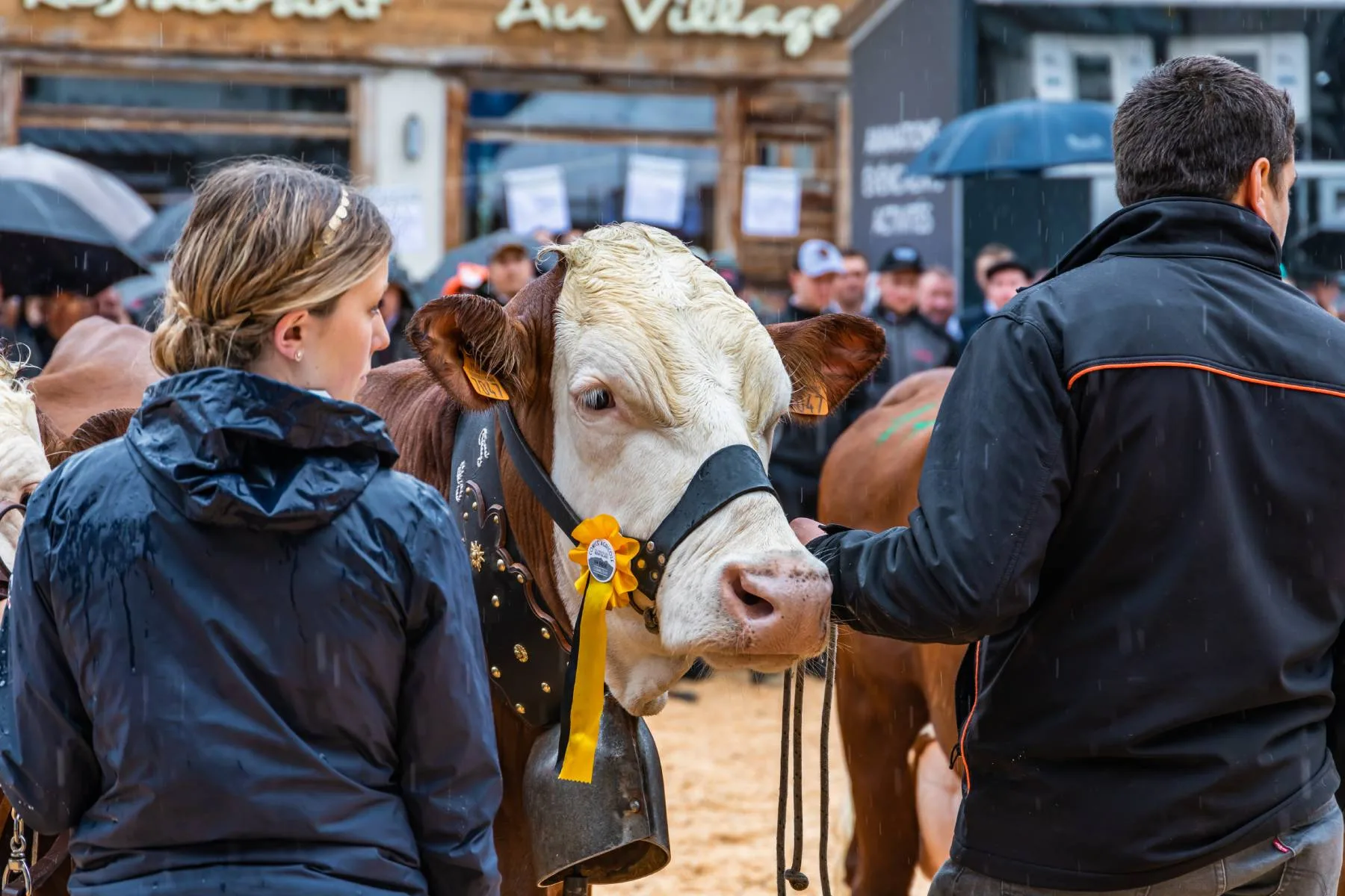 Combloux Agricultural Show 2023 edition