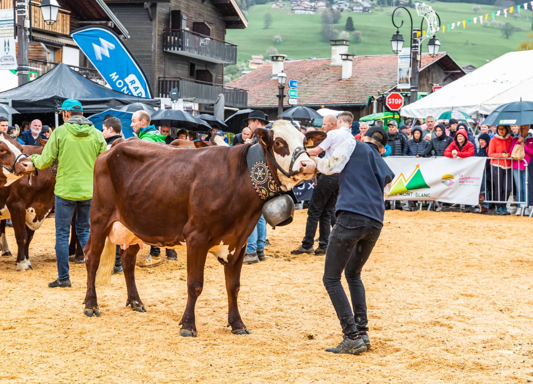 Combloux Salón Agrícola edición 2023