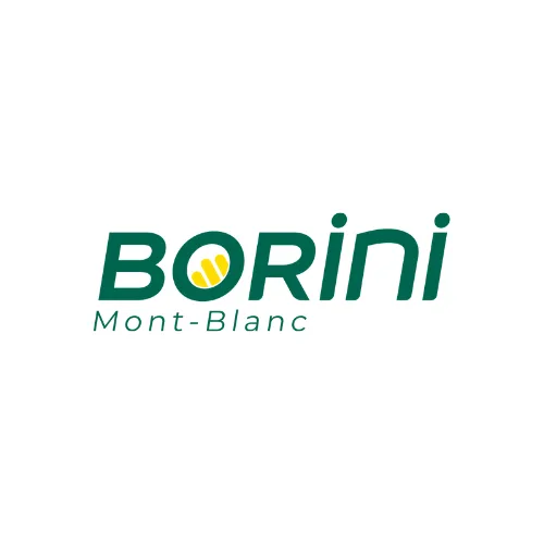 logotipo de Borin