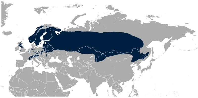 mapa de la zona de hábitat del urogallo negro
