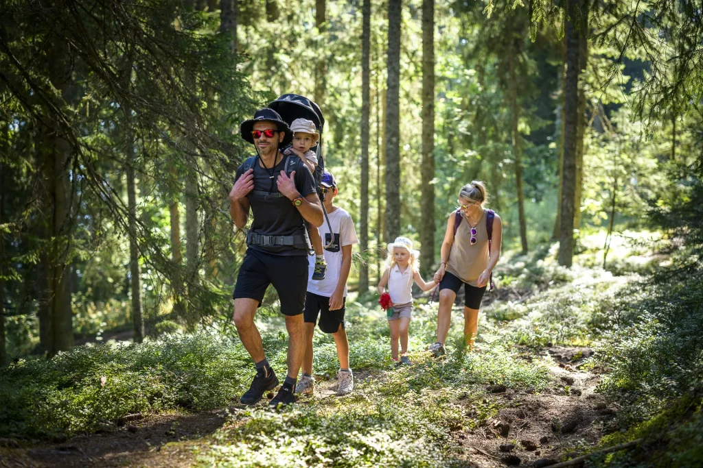 Family hike in the Combloux woods