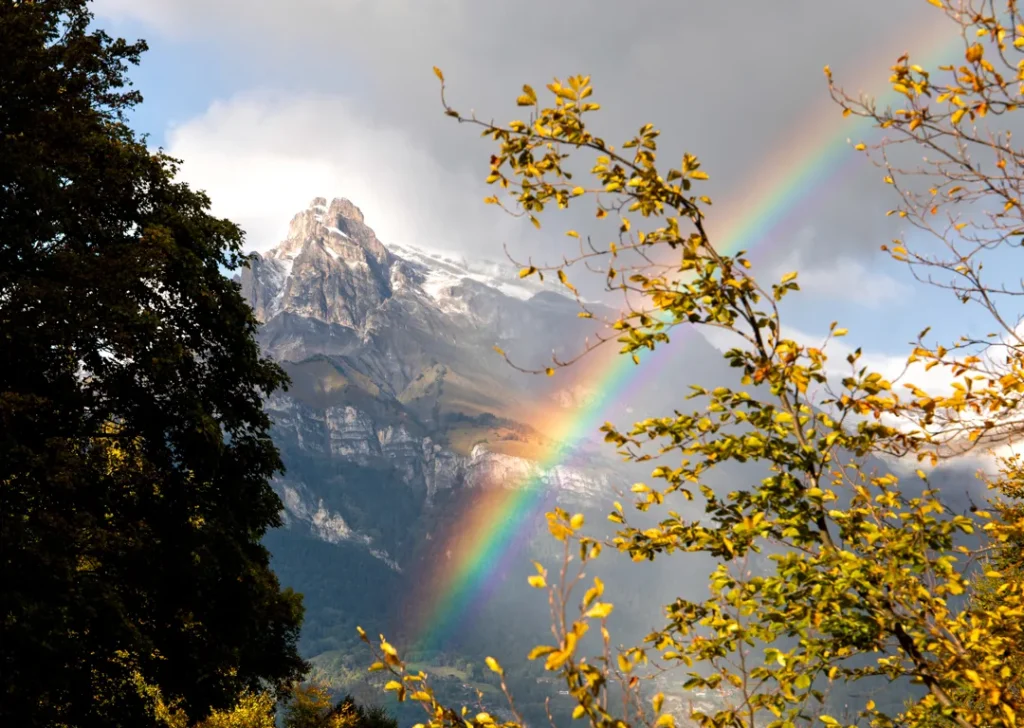 paysage automne combloux 1