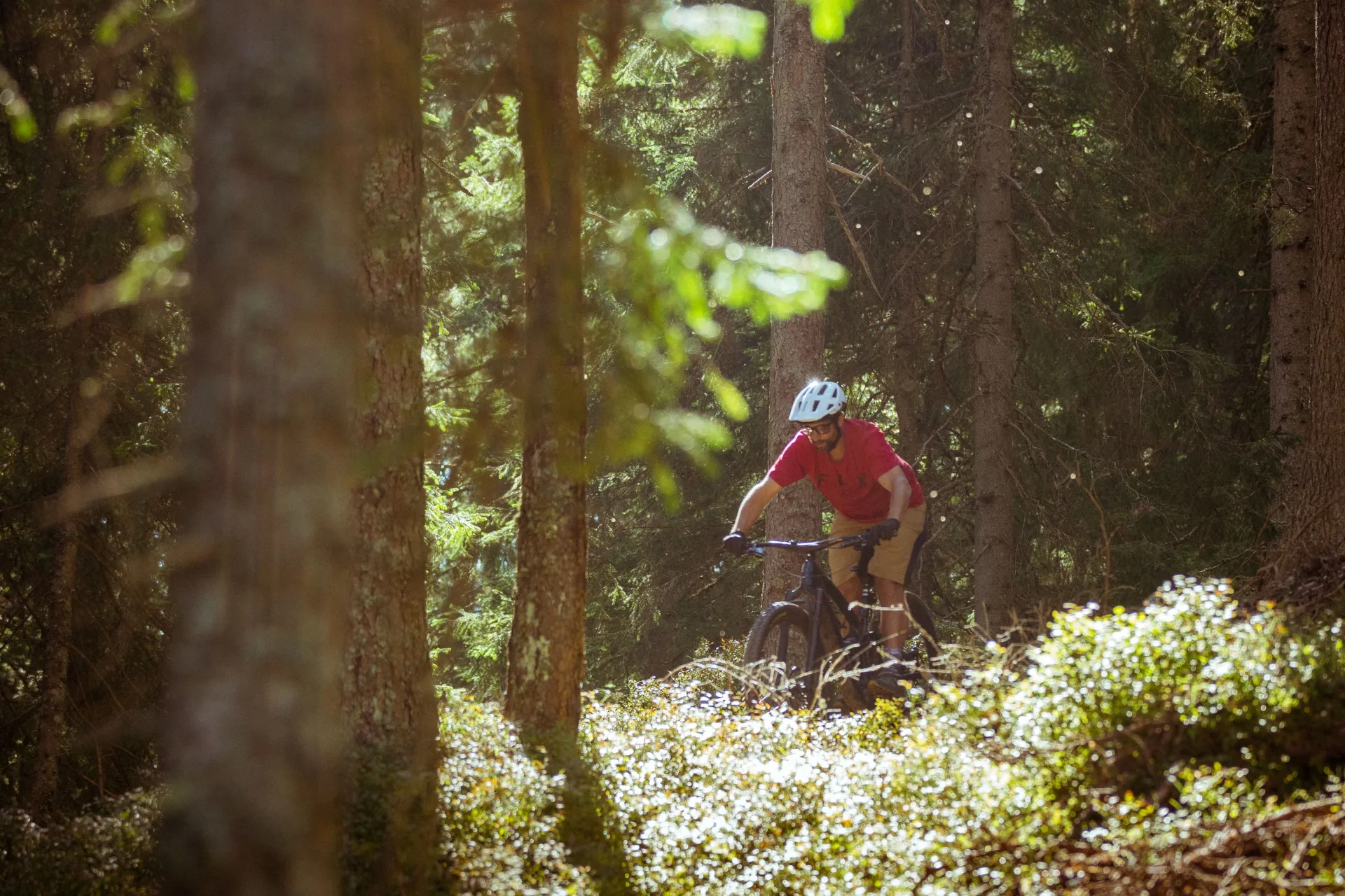 Mountain bike rental Combloux Rent mountain bike equipment in Combloux