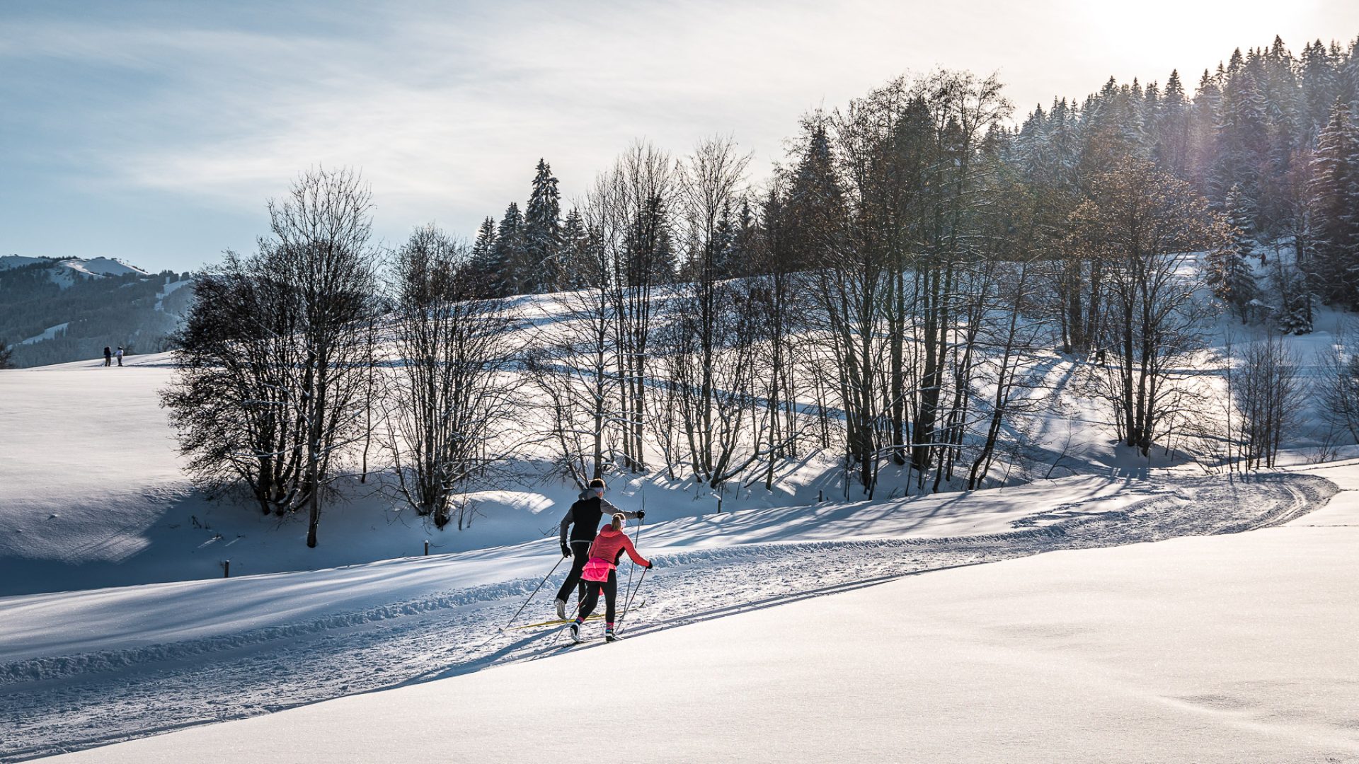 2 cross-country skiers in the Combloux Nordic area