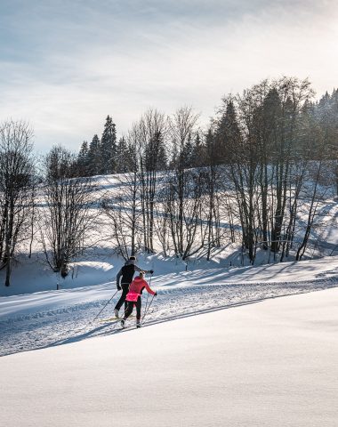 2 cross-country skiers in the Combloux Nordic area