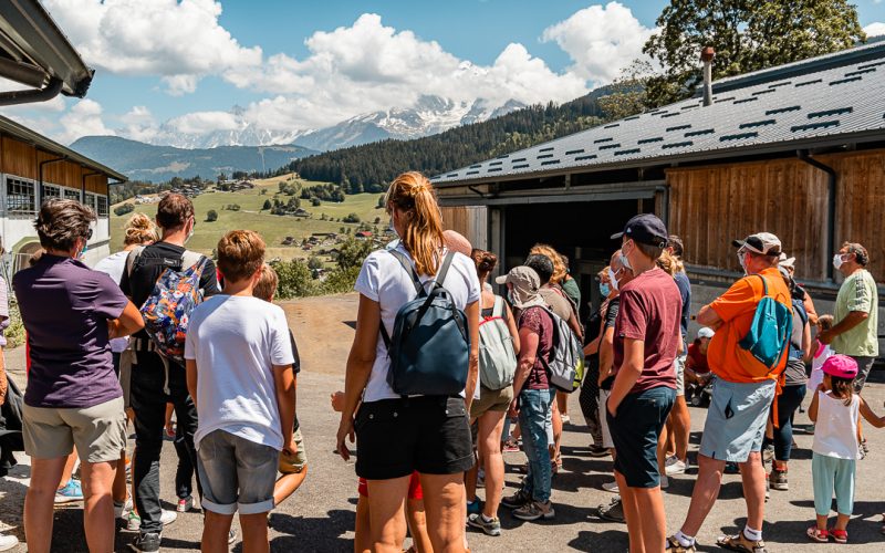 On a testé pour vous : visite à la ferme Les Montagnards