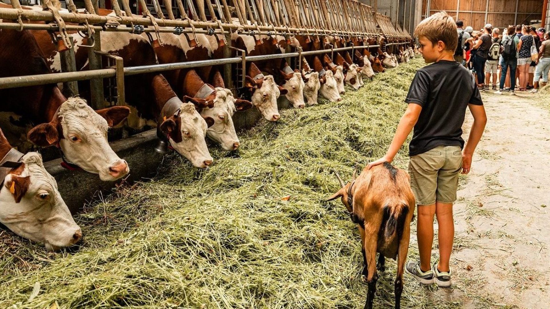 Visite ferme Les Montagnards