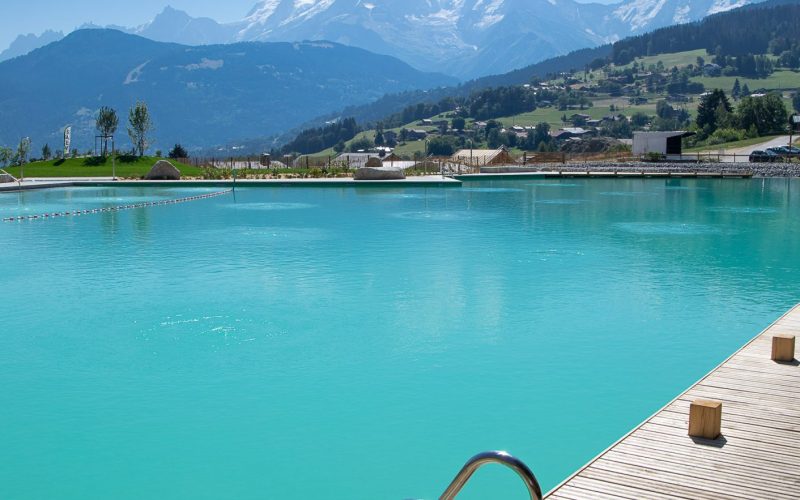 plan eau biotope aiguille verte