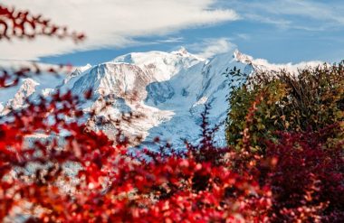 conjunto de mont blanc nevado con árboles de follaje otoñal