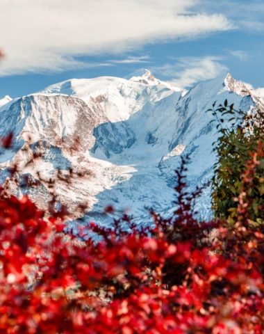 conjunto de mont blanc nevado con árboles de follaje otoñal