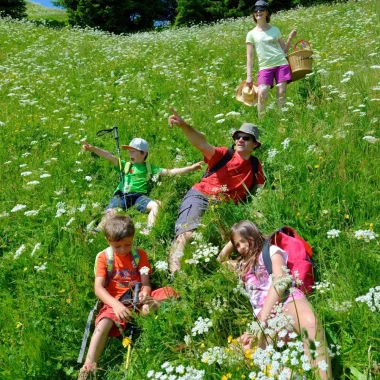 famille dans champs fleuris combloux