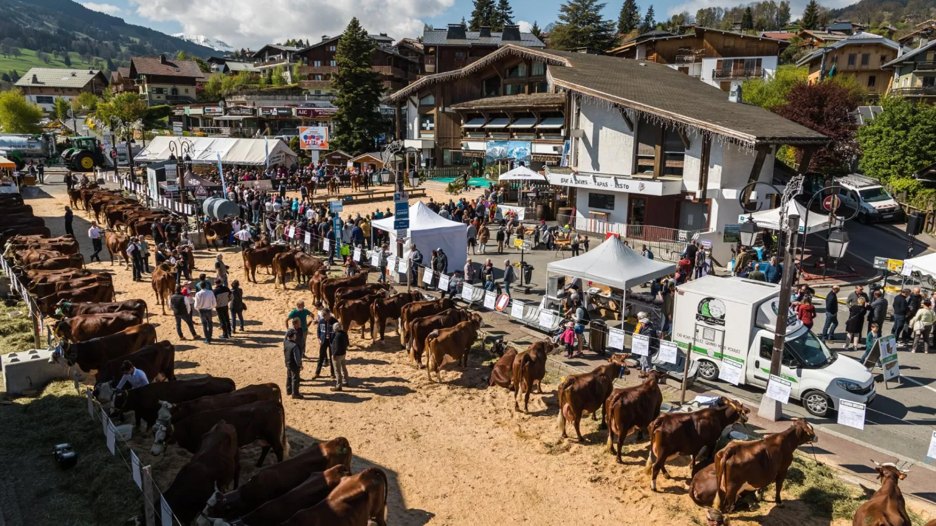 foto concurso de ganado combloux show agrícola pays du mont blanc conteplongee oficina de construcción de ganado combloux