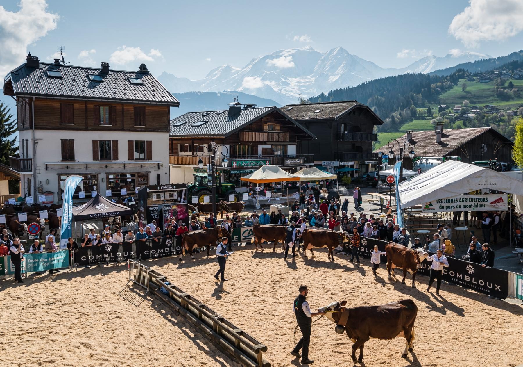 photo competition combloux cattle show agricultural country of mont blanc plan together event