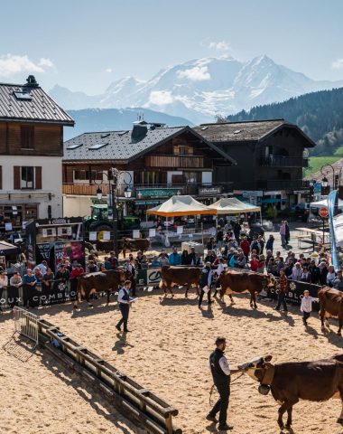 photo concours bovin combloux comice agricole pays du mont blanc plan ensemble manifestation