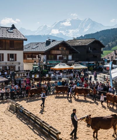 concurso de fotografía de ganado combloux espectáculo agrícola país del mont blanc