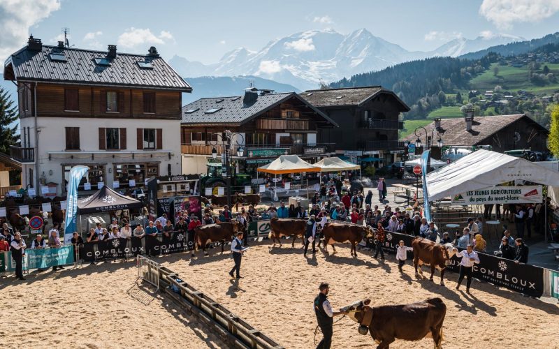 concurso de fotografía de ganado combloux espectáculo agrícola país del mont blanc