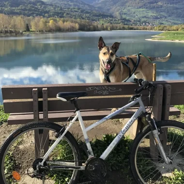 Perro y bicicleta de montaña en el lago Passy