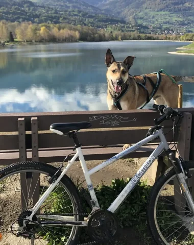 Perro y bicicleta de montaña en el lago Passy