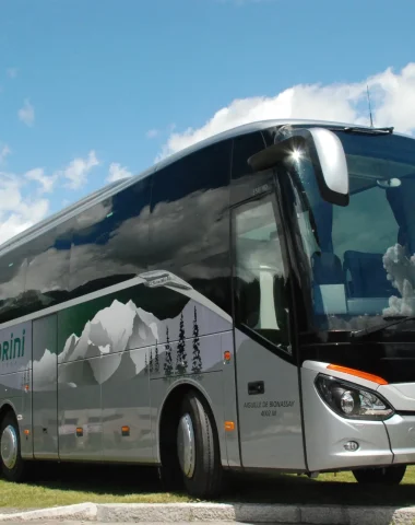 photo of brand new borini coach