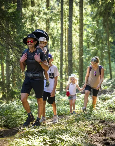 Family hike in the Combloux woods