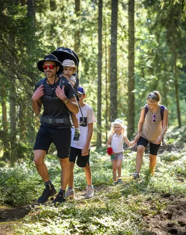 Randonnée en famille dans les bois de Combloux