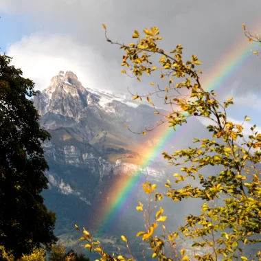 paysage automne combloux 1