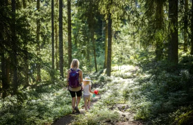 Randonnée dans les bois de Combloux