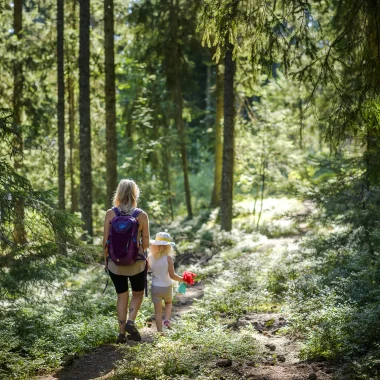 Senderismo en el bosque de Combloux