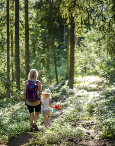 Randonnée dans les bois de Combloux