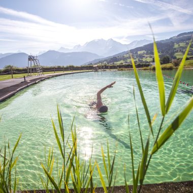 View of the basin of the biotope water body of Combloux swimmer